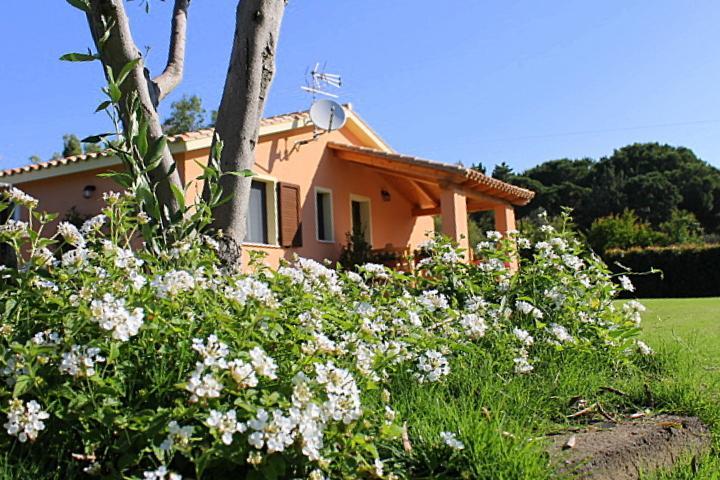 Bed and Breakfast Il Melograno Di Nora à Pula Extérieur photo